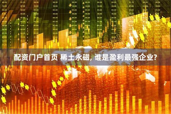 配资门户首页 稀土永磁, 谁是盈利最强企业?
